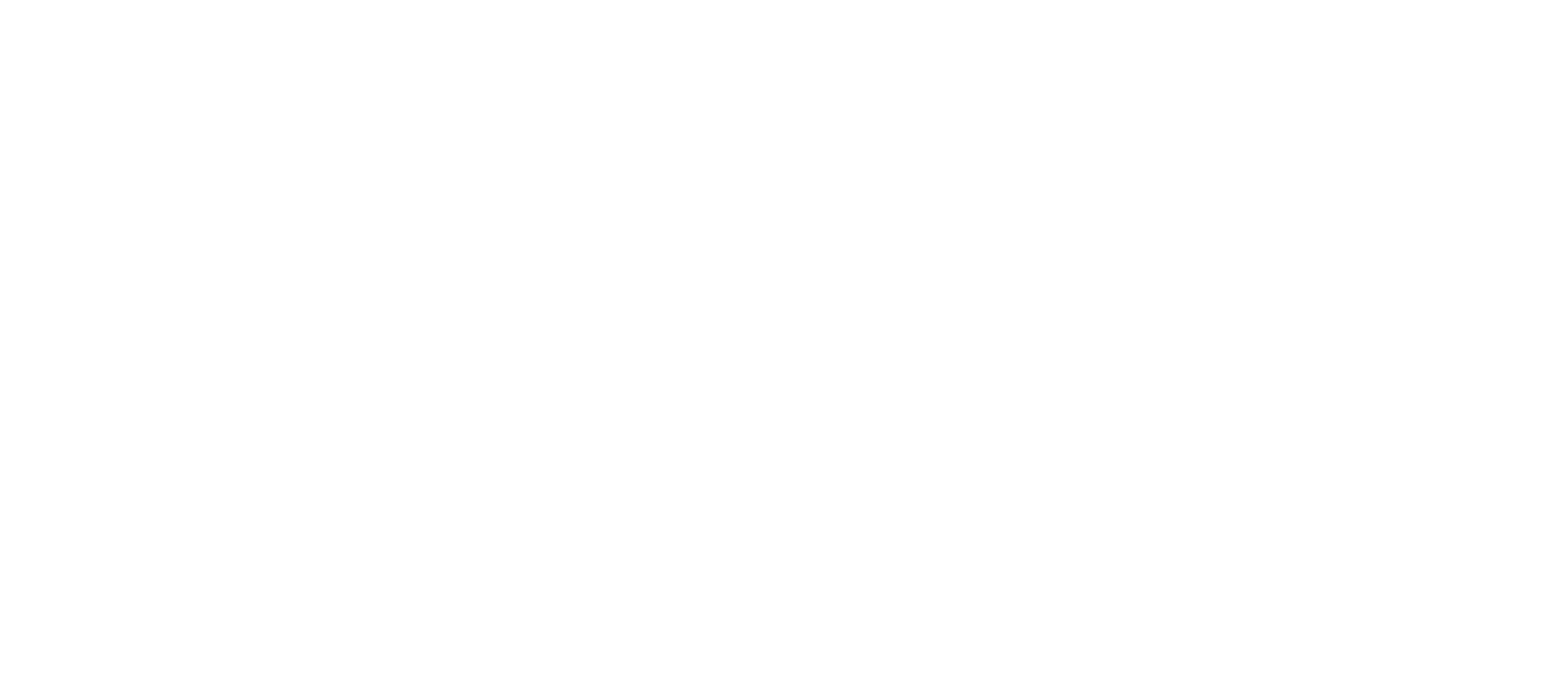 Sonne Investments
